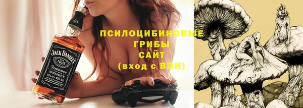 прущий лед Володарск